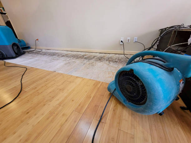 Professional Water Removal technician working in Lillian, TX
